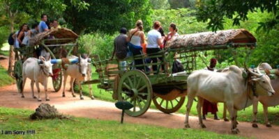Dambulla: Caves Temple & Traditional Village Tour with Lunch - Temple timing and free time: how to use your moments well
