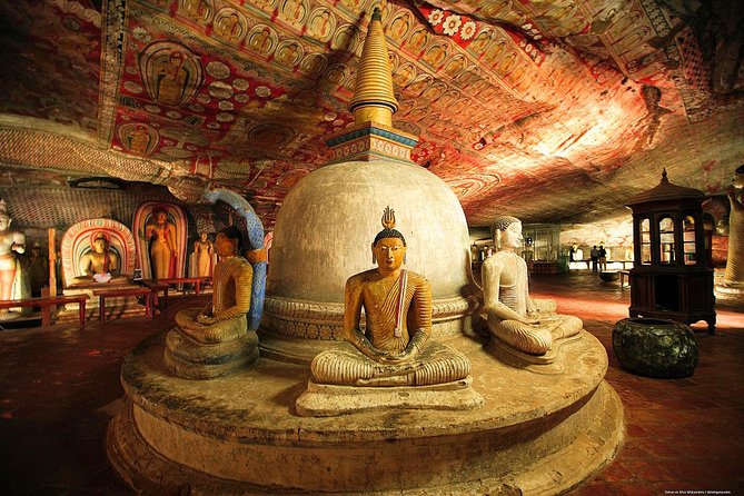 Dambulla & Sigiriya Day Tour from Colombo / Negombo with Lunch - A sunrise start that actually helps at Sigiriya