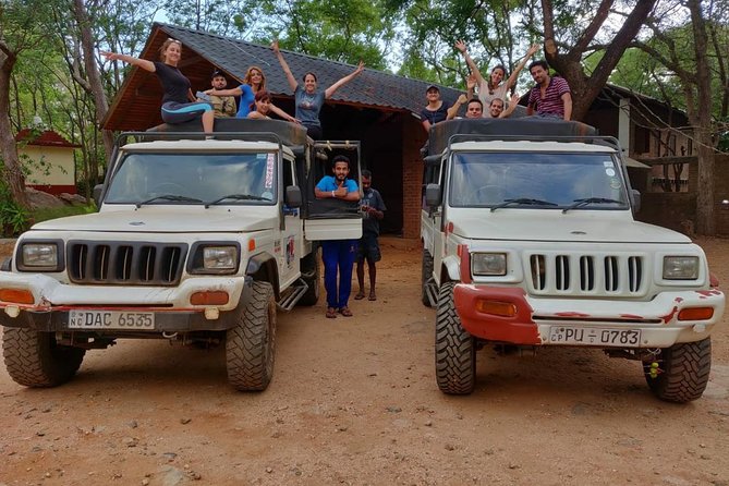 Dambulla & Sigiriya Day Tour from Colombo / Negombo with Lunch - Minneriya National Park: elephants, plus an extra safari fee