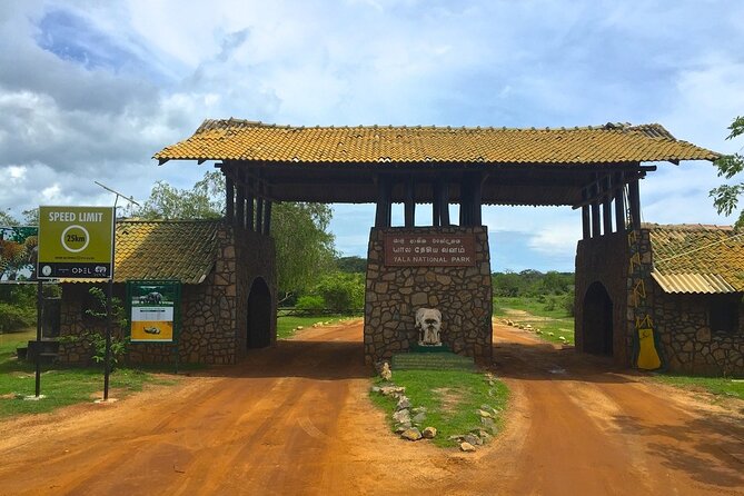 Day Excursion to Yala National Park From Colombo - Yala National Park Day Trip: What You’re Really Signing Up For