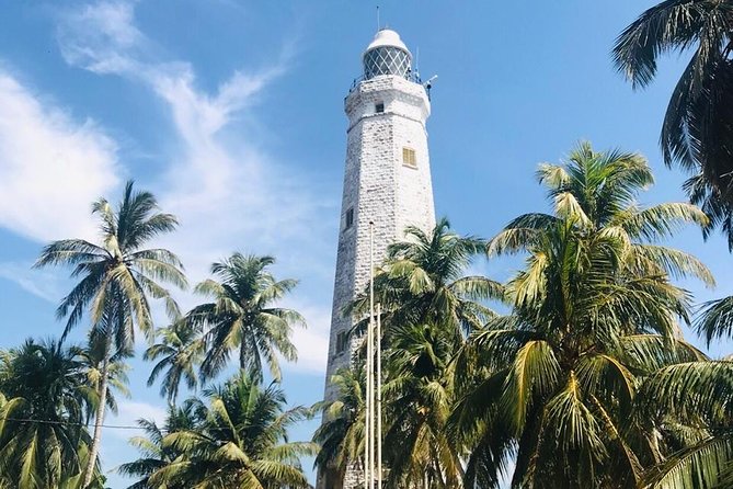 Day tour of Galle - Madu River Mangrove Cruise: A Different Kind of Sightseeing