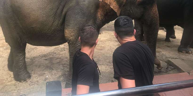 Day Tour to Elephant Orphanage / spice garden - Guide quality: Pradeep and Ruwan show why this tour feels easy