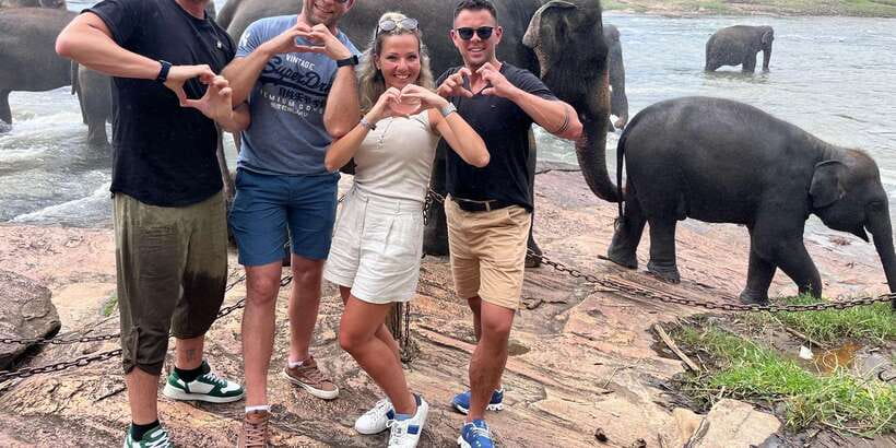 Day Tour to Elephant Orphanage / spice garden - Who this tour is best for
