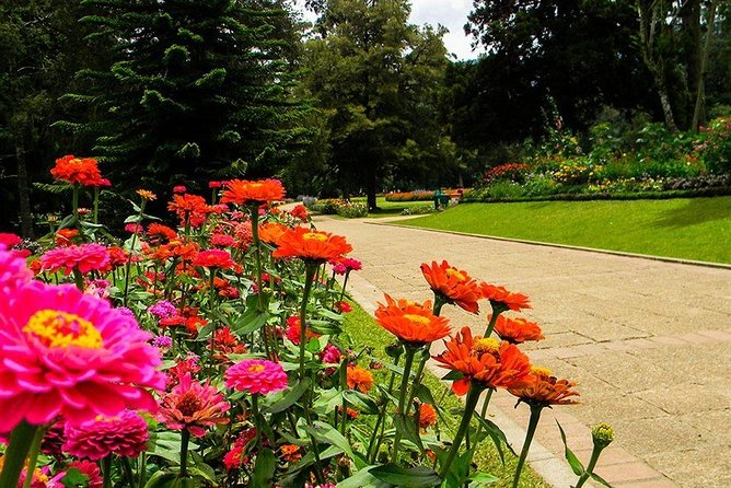 Day Tour to Nuwara Eliya from Kandy by Lux Tours Lanka - Nuwara Eliya’s Little England vibe: what you’re really buying