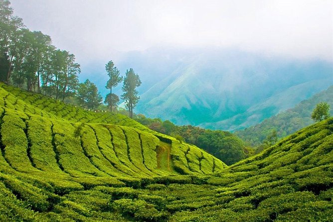 Day Tour to Nuwara Eliya from Kandy by Lux Tours Lanka - Ramboda Waterfall: a quick hit with free admission