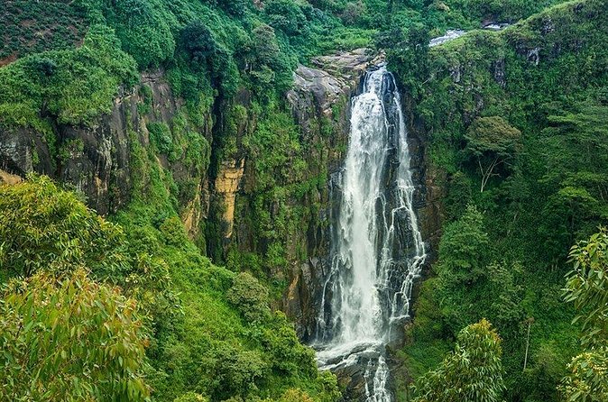Day Tour to Nuwara Eliya from Kandy by Lux Tours Lanka - Victoria Park in Nuwara Eliya: a town break that feels planned