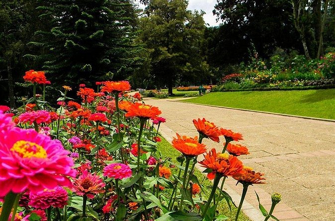Day Tour to Nuwara Eliya from Kandy by Lux Tours Lanka - Hakgala Botanic Gardens: where the scenery gets calm (and the bill gets steep)