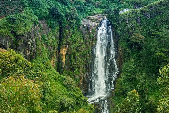 Day Tour to Nuwara Eliya from Kandy by Lux Tours Lanka - Private guiding by Lux Tours Lanka: the difference is the human touch