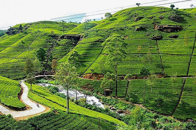 Day Tour to Nuwara Eliya from Kandy by Lux Tours Lanka - Price and value: what $160 includes, and what you may add