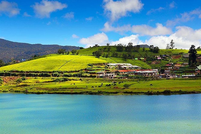 Day Tour to Nuwara Eliya from Kandy by Lux Tours Lanka - Day-trip logistics: why the 7–15 hours matters
