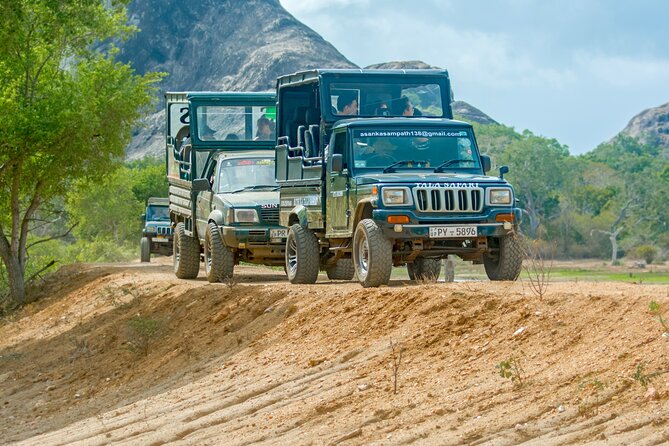 Day Tour to Wilpattu National Park from Colombo - Key Takeaways Before You Go