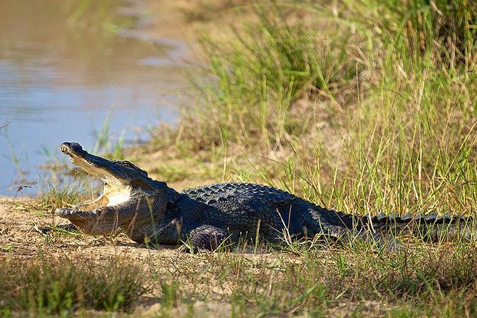 Day Tour to Wilpattu National Park from Colombo - Your Dedicated Guide: Better Explanations, Better Spotting