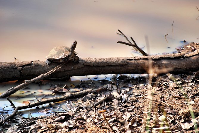 Day Tour to Wilpattu National Park from Colombo - Park Fees and the $150 Question: Is This Good Value?