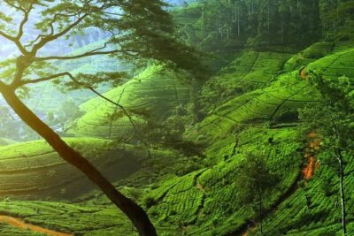 Day Trip to Nuwara Eliya with Kingfisher Tours - Sorborn Jewellery museum stop in Kandy: context on Sri Lanka’s mineral trade