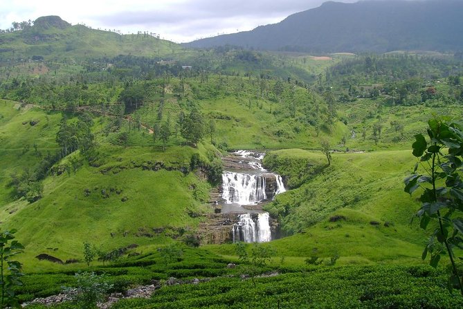 Day Trip to Nuwara Eliya with Kingfisher Tours - NGM Strawberry Farm: a sweet cool-climate stop