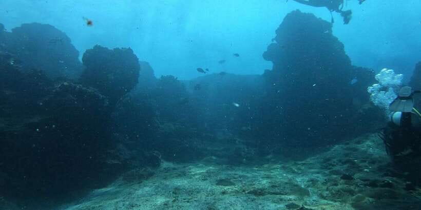 Discover Scuba Diving : Hikkaduwa : Scuba Diving - The open-water session off Hikkaduwa: coral reefs and guided fish time