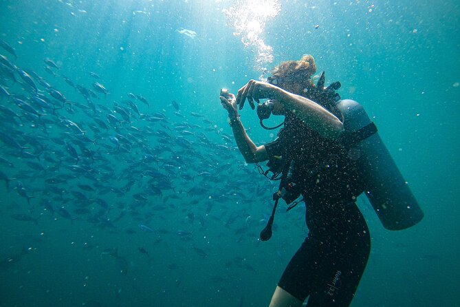 Discover SCUBA Diving in Beautiful Unawatuna Bay - Key Highlights You’ll Care About