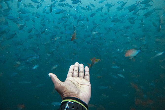 Discover SCUBA Diving in Beautiful Unawatuna Bay - Timing, Group Size, and Logistics That Affect Your Comfort