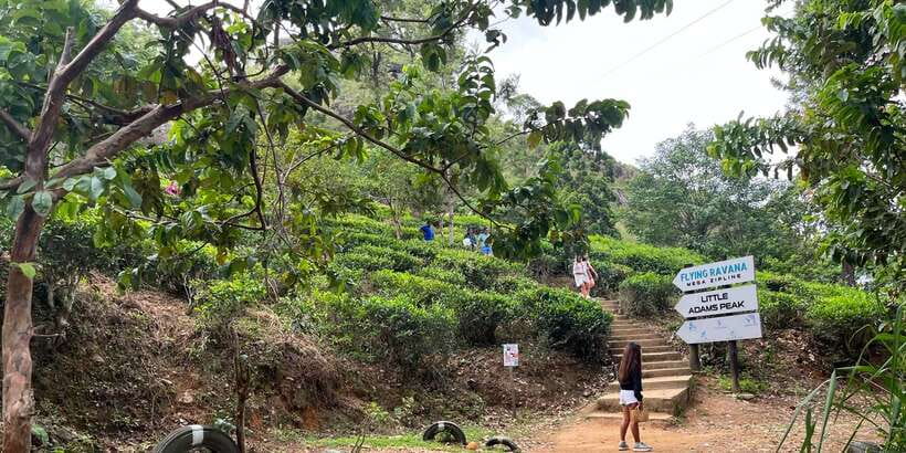 Discover the Best of Sri Lanka in 2 Days - Day 2: Ambuluwawa Tower, Ayurveda gardens, Dambulla caves, and Sigiriya at sunset/light