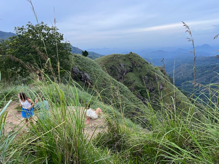 Discover the Best of Sri Lanka in 2 Days - Should you book it?