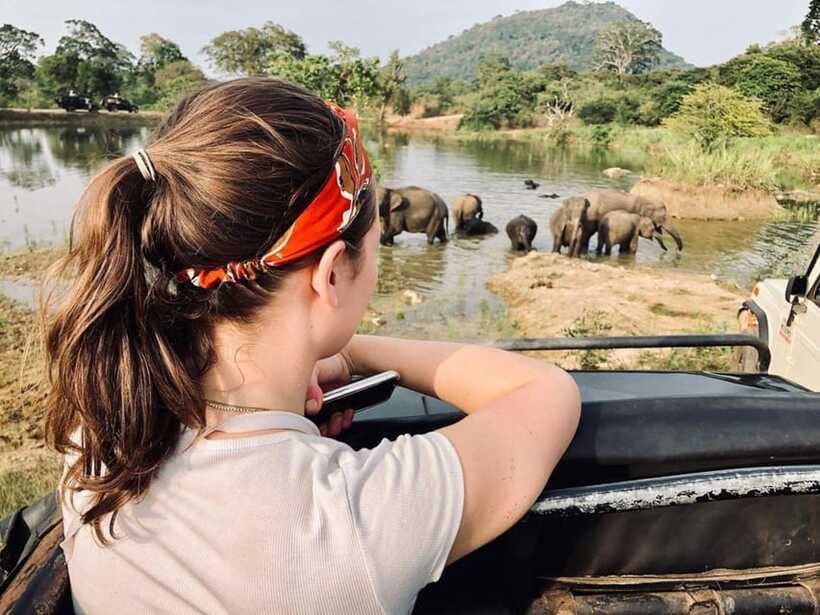 Elephant Kingdom Safari – Minneriya National Park - The Tracker: Where the Best Elephant Encounters Usually Come From