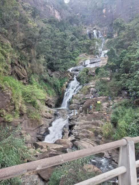 Ella: All-Inclusive Diyaluma and Ravana Waterfalls Day Tour - The jungle walk: where the day turns from scenic to active