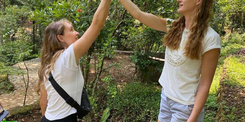 Ella : Cooking class with amazing Spice Garden Tour - Ella Spice Garden Tour: A 2.5-Acre Walk Through Sri Lanka’s Everyday Flavors
