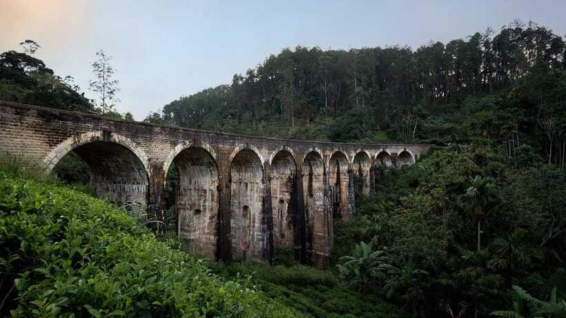 Ella Day Tour: with Tea Factory Visit from Colombo/Bentota - Should You Book This Ella Day Tour From Colombo or Bentota?