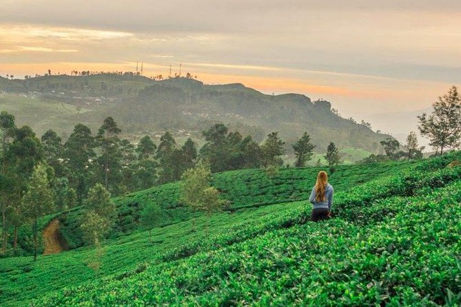 Ella Day Trip from Mirissa, Weligama, Galle, Hikkaduwa - Nine Arches Bridge: the Demodara loop view you’ll remember