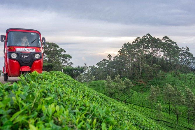 Ella Day Trip from Mirissa, Weligama, Galle, Hikkaduwa - Ravana Ella Falls: plan for a fast stop with strong impact