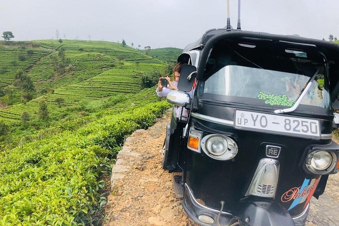 Ella Day Trip from Mirissa, Weligama, Galle, Hikkaduwa - Tea plantations and tastings: choosing your pace in the hills
