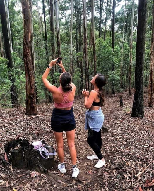Ella: Ella Rock, 9 Arch, Little Adams Peak, & Waterfall Tour - Key things I’d plan around