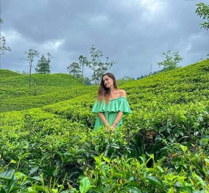 Ella: Ella Rock, 9 Arch, Little Adams Peak, & Waterfall Tour - Price and Value: What $34 Really Covers (and What Doesn’t)