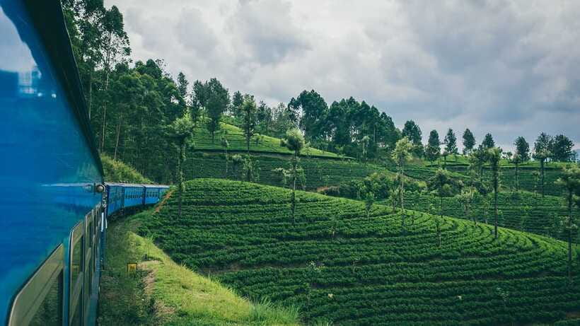 Ella: First Class Scenic Train Ticket To/From Nanuoya - Who Should Book This Train Ticket?