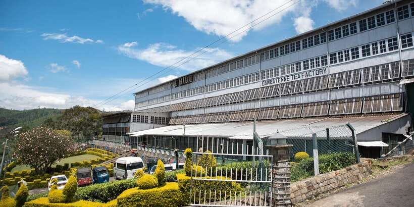 Ella: Lipton's Seat Tour with Dambetanna Tea Factory Visit - Dambetanna Tea Factory in 1890: tea making you can see