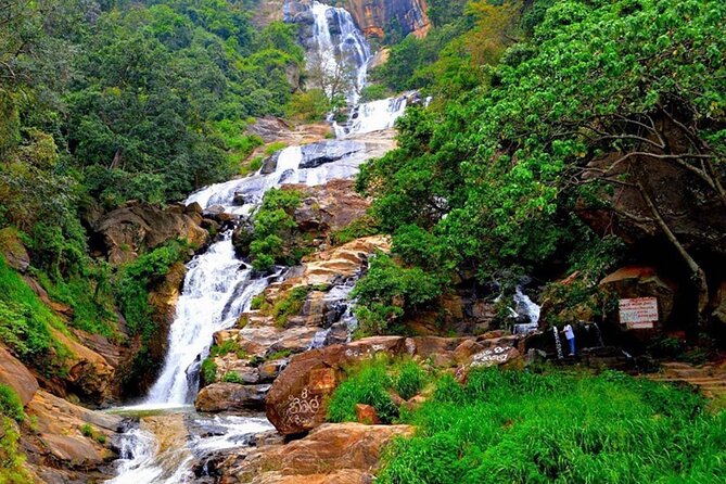 Ella Private Day Trip with Train Ride & Tea Factory-All Inclusive - Price and Value: What $190 Covers (and Why It’s Not Just a Ticket)