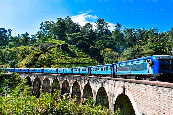 Ella Private Day Trip with Train Ride & Tea Factory-All Inclusive - Little Adam’s Peak: Short Climb, Big Reward