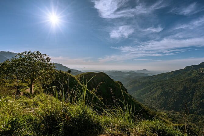 Ella Rock Hiking Tours ( sunrise-tour ,good morning tour,sunny afternoon tour ) - Guide Quality: Why Jeewa and Sam Get Mentioned So Often