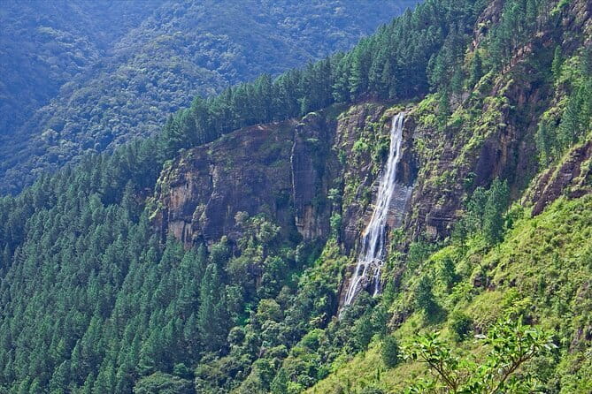 Ella Rock Hiking Tours ( sunrise-tour ,good morning tour,sunny afternoon tour ) - Price, Value, and Who This Tour Makes Sense For
