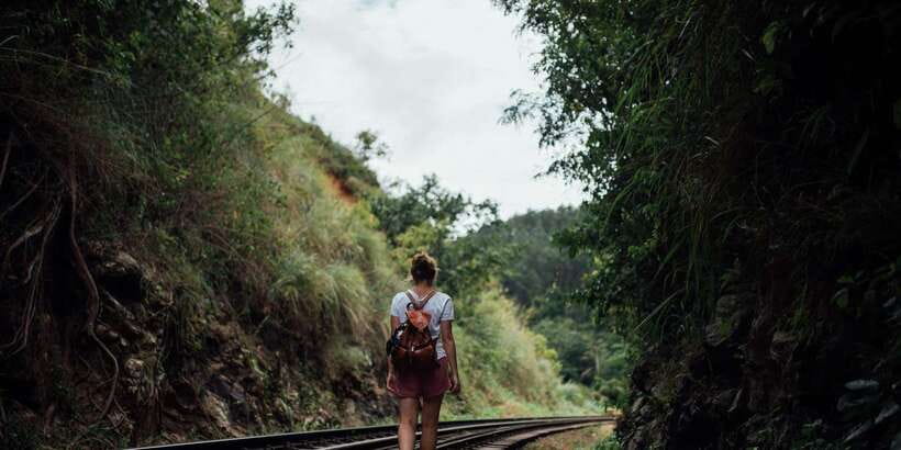 Ella: Tea Factory, Train, and Nine Arch Day Tour with Pickup - Key things I’d prioritize on this Ella day tour