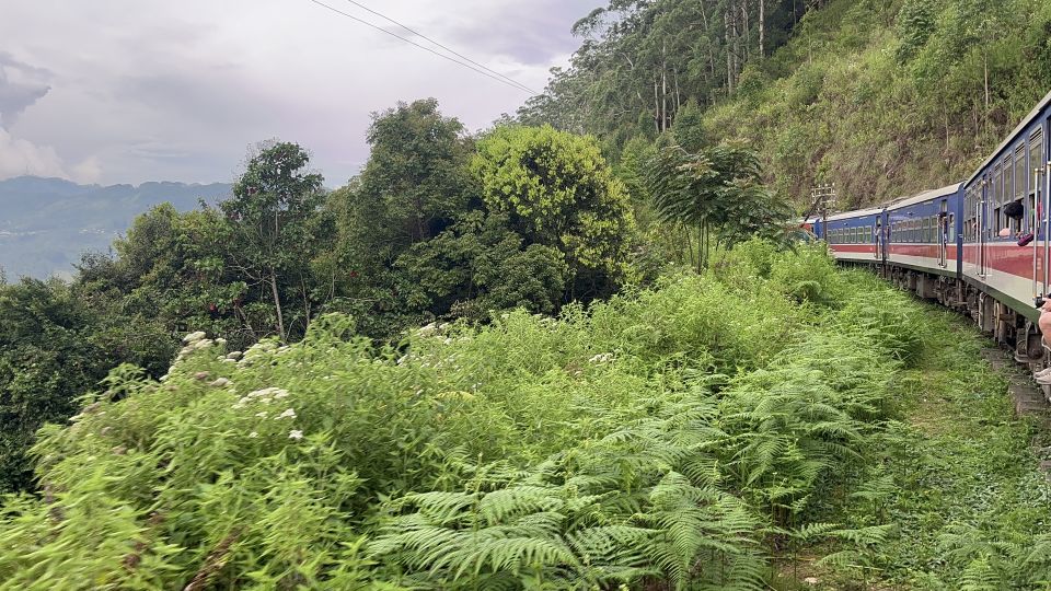 Ella: Tea Factory, Train, and Nine Arch Day Tour with Pickup - Zipline at Flying Ravana Mega: adrenaline break in the middle of nature