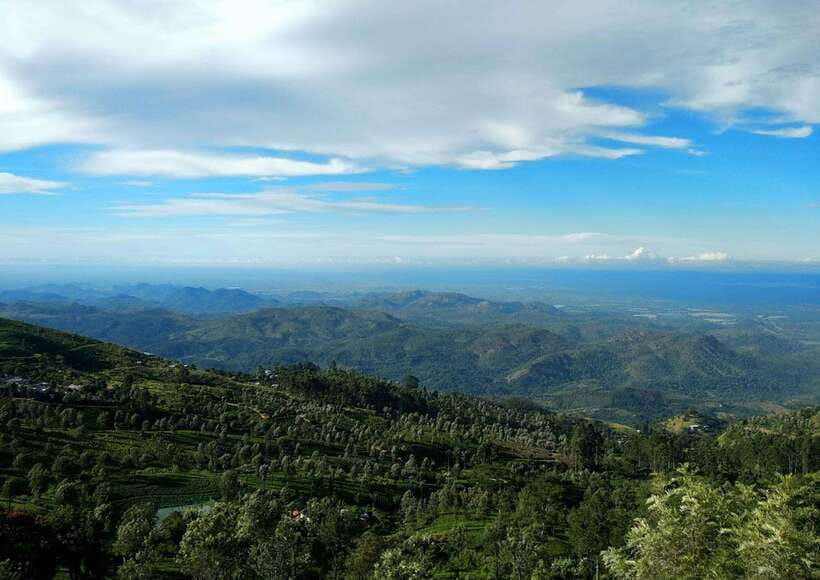 Ella: The Pekoe Trail Stage 16 - Ella to Demodara - Ella Forest Reserve: where the trail turns from views to walking