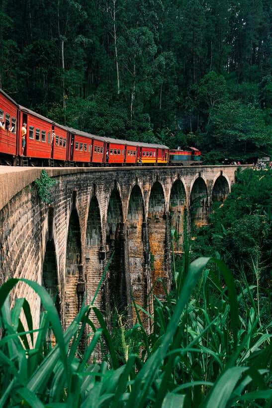 Ella: The Pekoe Trail Stage 16 - Ella to Demodara - Nine Arches Bridge: crossing it is the whole point