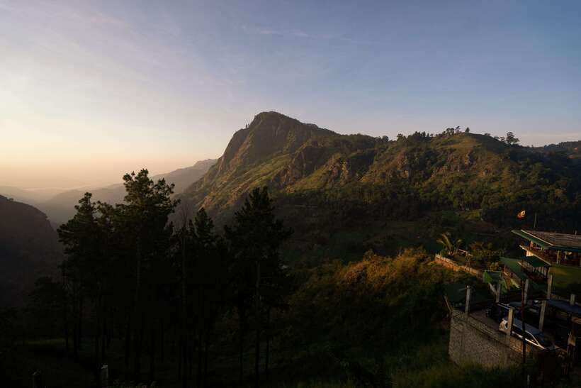 Ella: The Pekoe Trail Stage 16 - Ella to Demodara - Newburgh tea factory and Demodara tea estate: learning what you’re drinking