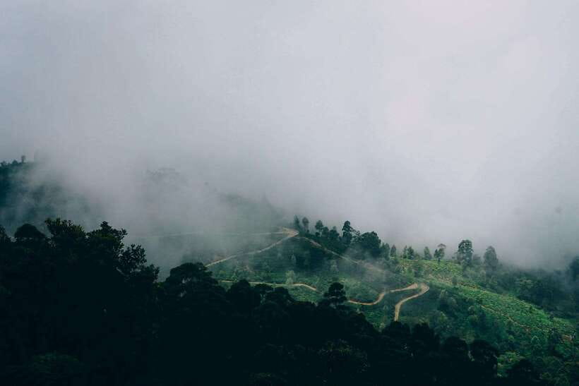 Ella: The Pekoe Trail Stage 16 - Ella to Demodara - Three pickup options and a guided start in Ella