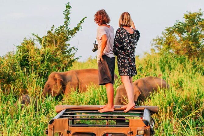 Ella to Mirissa Shuttle & Udawalawe Safari Drive with Breakfast - Key points to know before you go