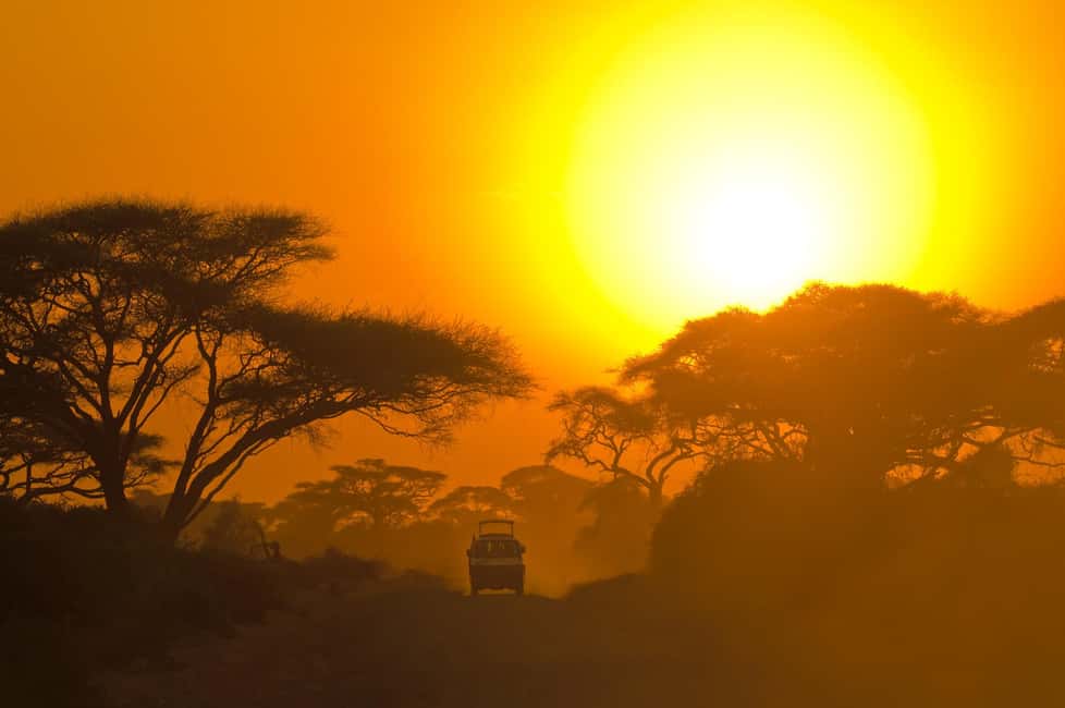 Ella: Transfer to Hikkaduwa & Yala Safari Tour - Wildlife targets: what you can reasonably hope to see in Yala