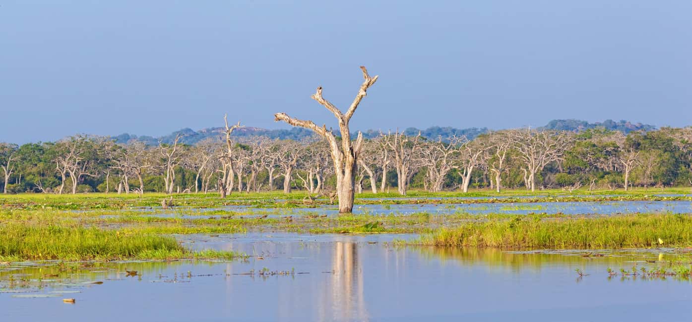 Ella: Transfer to Hikkaduwa & Yala Safari Tour - Air-conditioned comfort after the safari: why it’s not a small detail