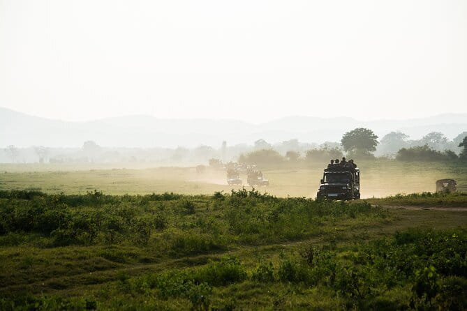 Ella: Transfer to Tangalle/Mirissa/Galle & Yala/Udawalawe Safari - Yala or Udawalawe: choosing the right safari day