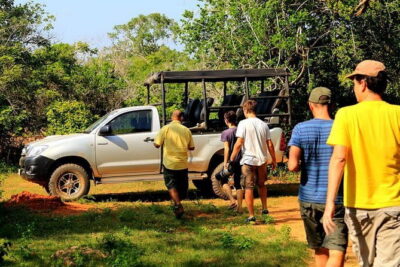 Ella: Transfer to Tangalle/Mirissa/Galle & Yala/Udawalawe Safari - Morning vs afternoon sessions: what changes for sightings